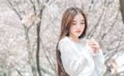 雨季开始了空间链接